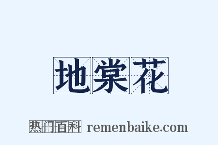 地棠花是什么意思的图片